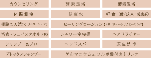カウンセリング・デトックスシャンプー・酵素足浴・酵素温浴・ゲルマニウムorフルボ酸付きドリンク