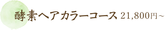 酵素カラーコース/120分/21,800円